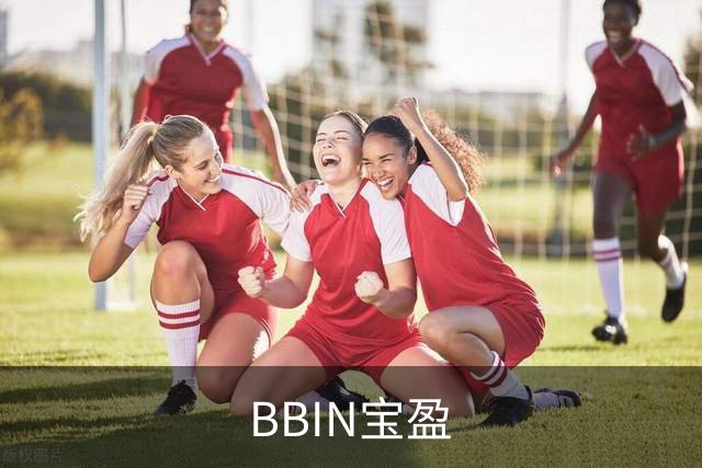 BBIN宝盈公司简介